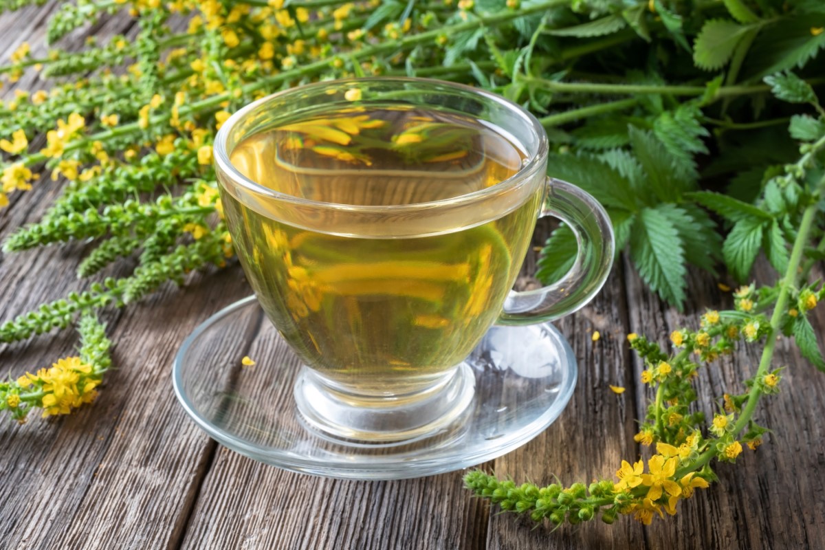 Um exemplo clássico de utilização é o chá de canola: Getty Images Chá de nabos numa chávena