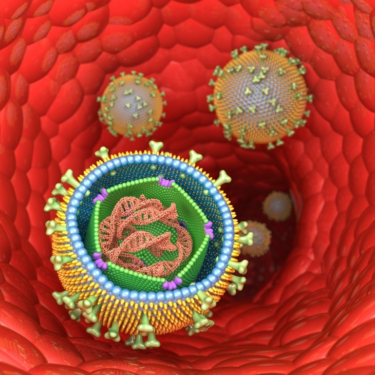 Representação 3D da estrutura do vírus Epstein-Barr (mononucleose infecciosa) em células humanas