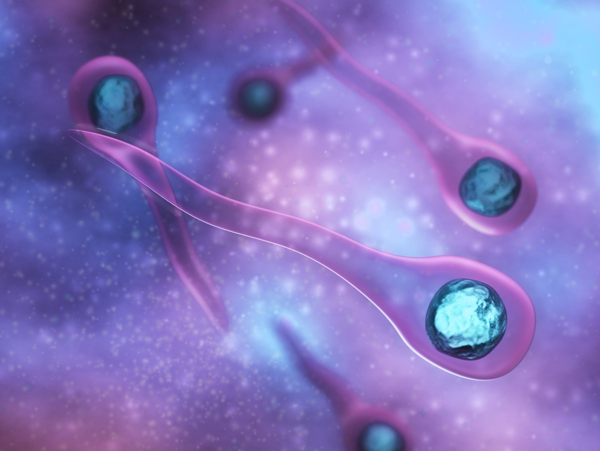 Bactéria Clostridium tetani Fonte: Getty Images Bactéria Clostridium tetani