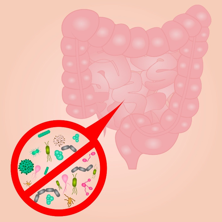 Sobrecrescimento bacteriano do intestino delgado (SIBO)