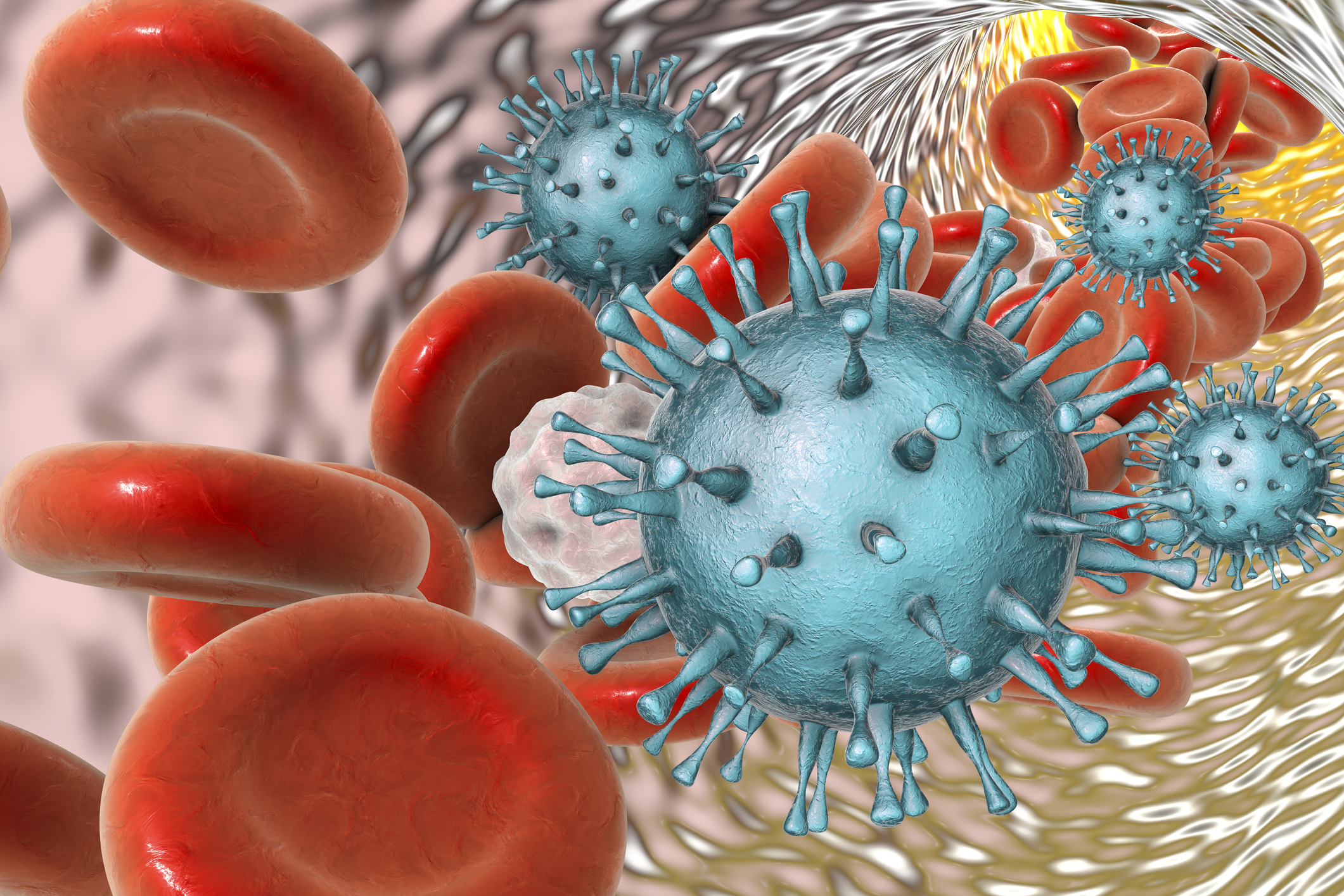 Citomegalovírus no sangue