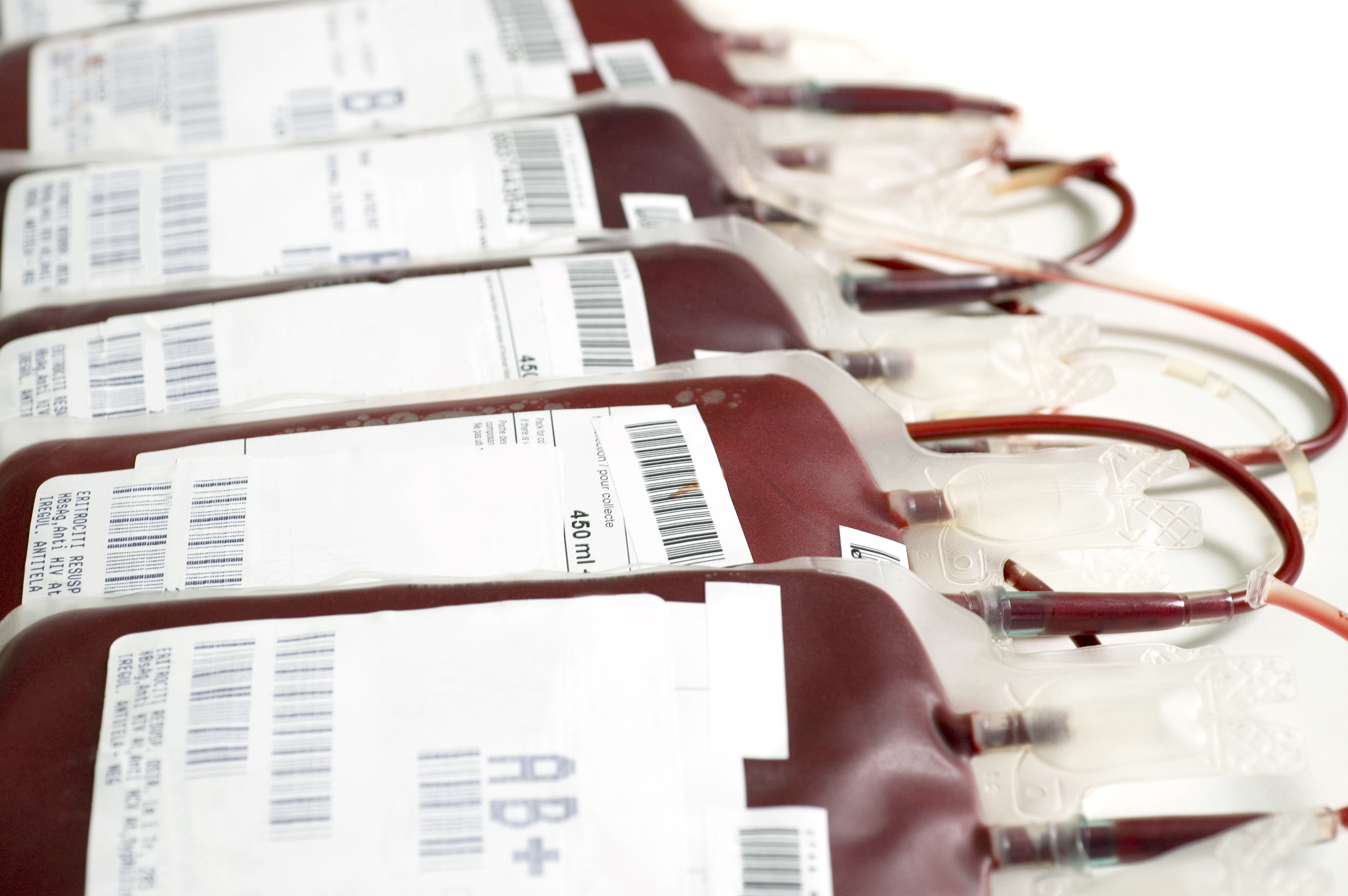 Sangue pronto para transfusão Fonte: Getty Images Sangue pronto para transfusão