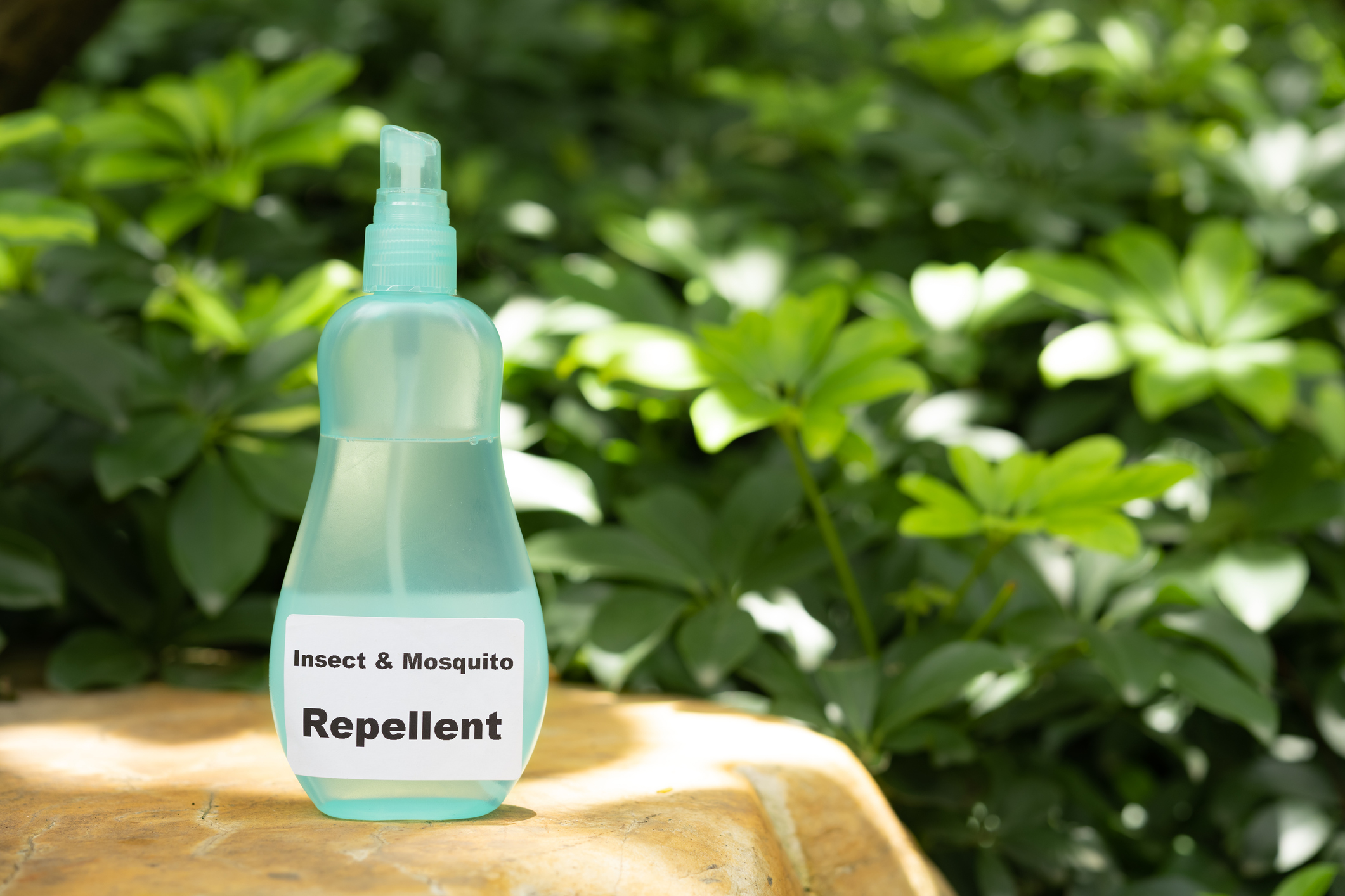 Prevenção contra os mosquitos