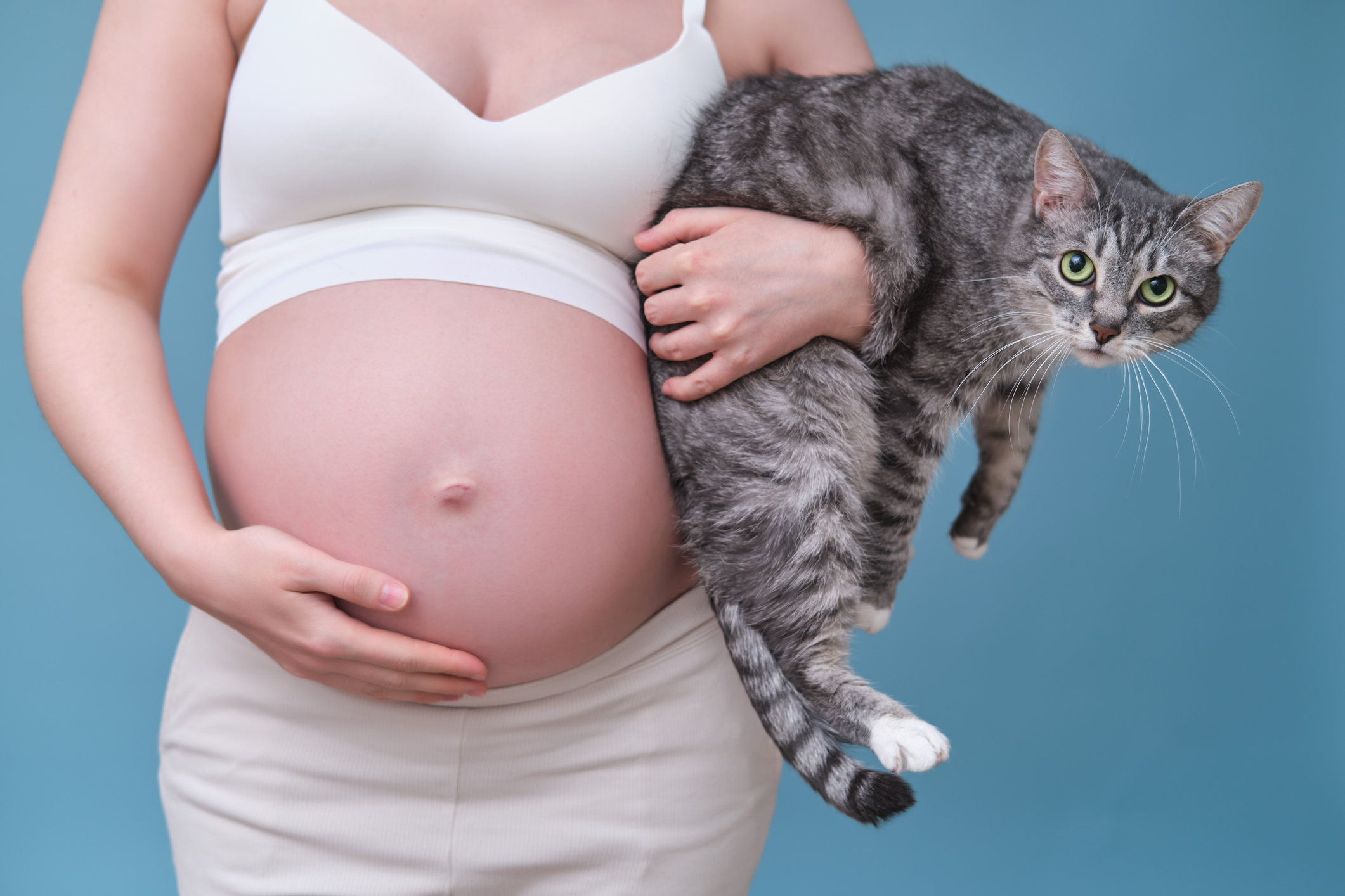 A toxoplasmose ameaça a gravidez no primeiro e no início do segundo trimestre: Getty Images Mulher grávida a segurar um gato