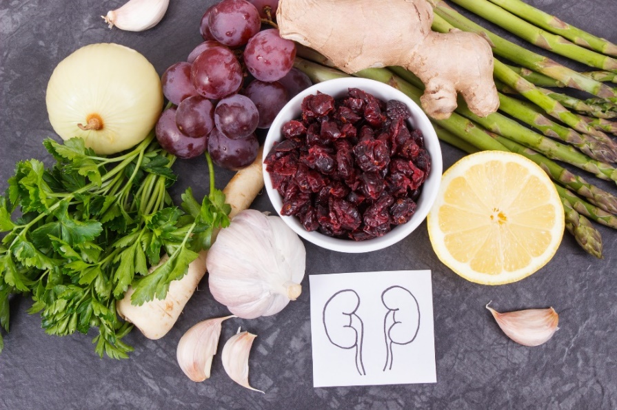 Promoção e prevenção da saúde dos rins e do tracto urinário através de uma alimentação adequada