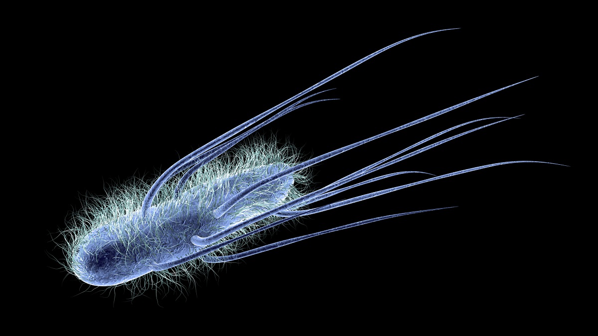 Representação 3D da bactéria Escherichia coli. Fonte: Getty Images Representação 3D de Escherichia coli