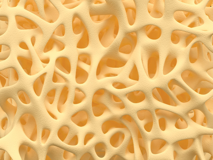 Estrutura do tecido ósseo. Fonte: Getty Images tecido ósseo microscopicamente aumentado