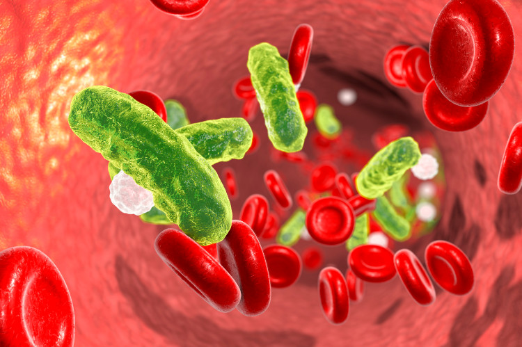 Células sanguíneas infectadas por bactérias Fonte: thinkstock photo um vaso sanguíneo com eritrócitos e células bacterianas que se encontram na corrente sanguínea