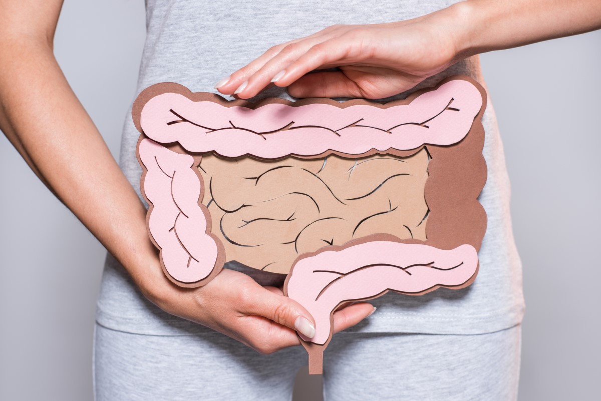 Os intestinos e a sua função insubstituível na transformação dos alimentos: Getty Images Intestinos desenhados num papel segurado por uma mulher - representação do sistema digestivo