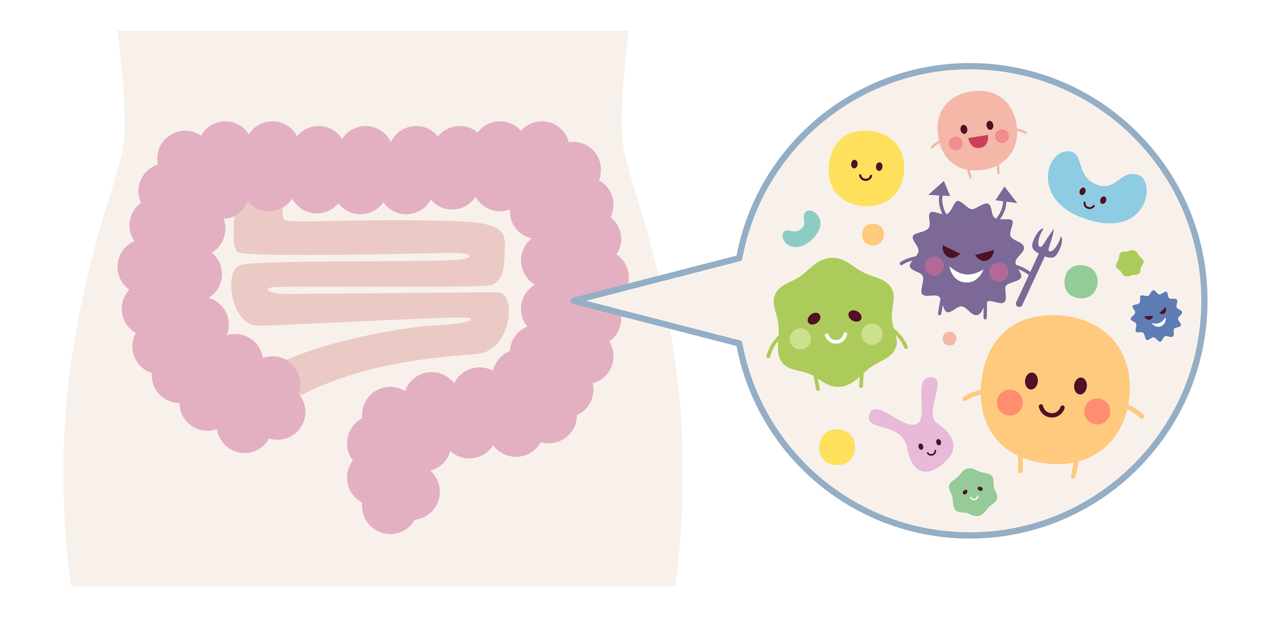 Fonte: Getty Images Intestino - lactobacilos
