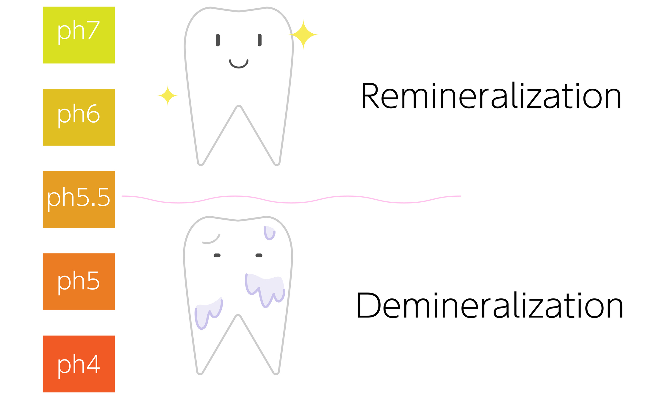 Considera-se que o valor crítico do pH da saliva é de 5,5. A partir deste valor, inicia-se o processo de desmineralização do esmalte dentário: Getty Images Considera-se que o valor crítico do pH da saliva é de 5,5. A partir deste valor, inicia-se o processo de desmineralização do esmalte dentário.
