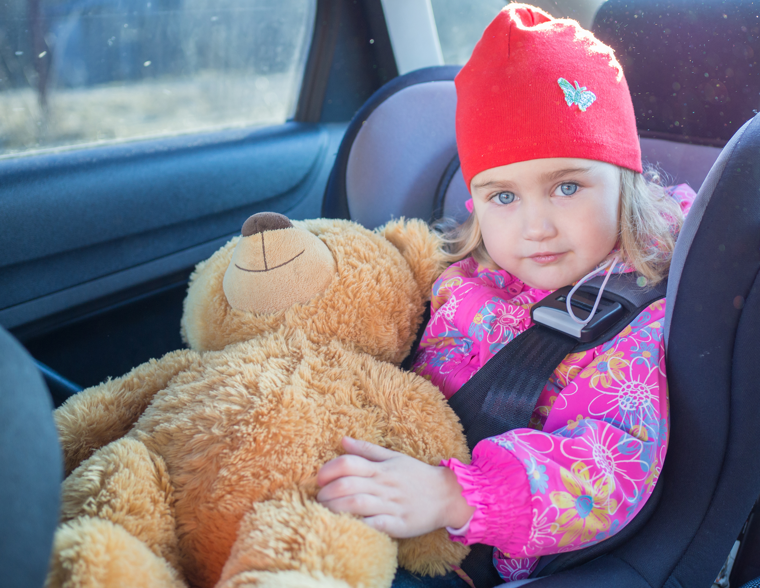 A segurança nas deslocações é um imperativo para uma criança. Foto: Thinkstock Bebé na cadeira auto, sentado, a olhar, com ar satisfeito, segurando um ursinho de peluche