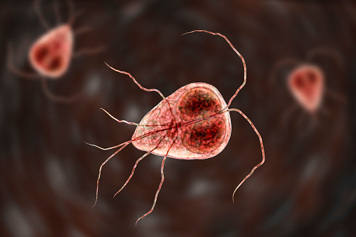 Elemento - chico-esperto Foto: Getty Images elemento ampliado microscopicamente com um chicote