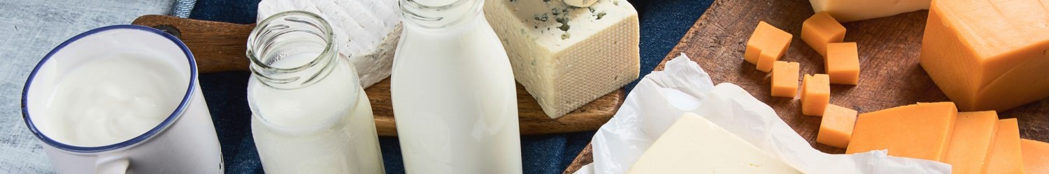 Produtos lácteos