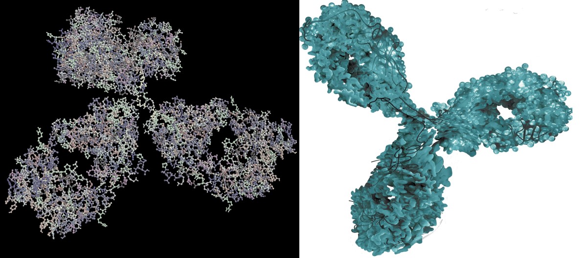 Anticorpos monoclonais (tratamento do cancro e de doenças auto-imunes) Fonte: Getty Images Imagiologia molecular de um anticorpo monoclonal - um medicamento biológico