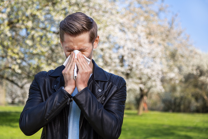 A febre dos fenos ocorre sazonalmente, os outros tipos de alergias são irregulares. Fonte: Thinkstock um homem com febre dos fenos e o nariz cheio, junto a uma árvore em flor, com um lenço na mão