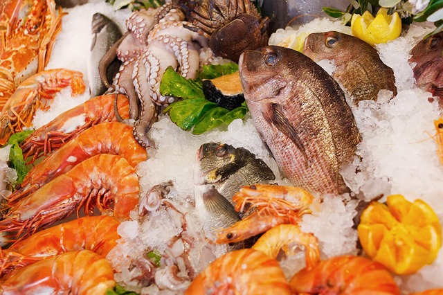 A dieta deve conter muito peixe e marisco. Fonte: Pixabay Os animais marinhos e os peixes são armazenados no gelo.