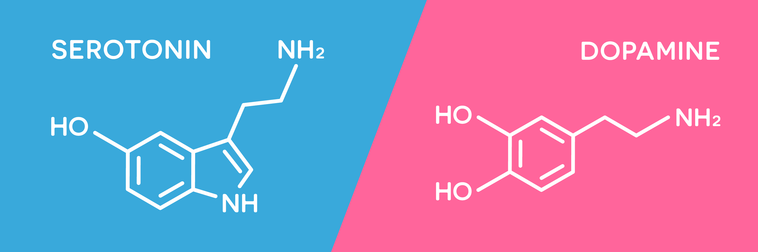 Um desequilíbrio nos níveis de serotonina ou dopamina pode levar a perturbações de ansiedade. 