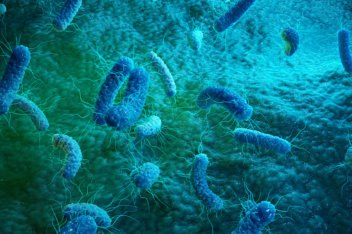 Foto da bactéria Stick: Getty Images bactérias microscopicamente aumentadas