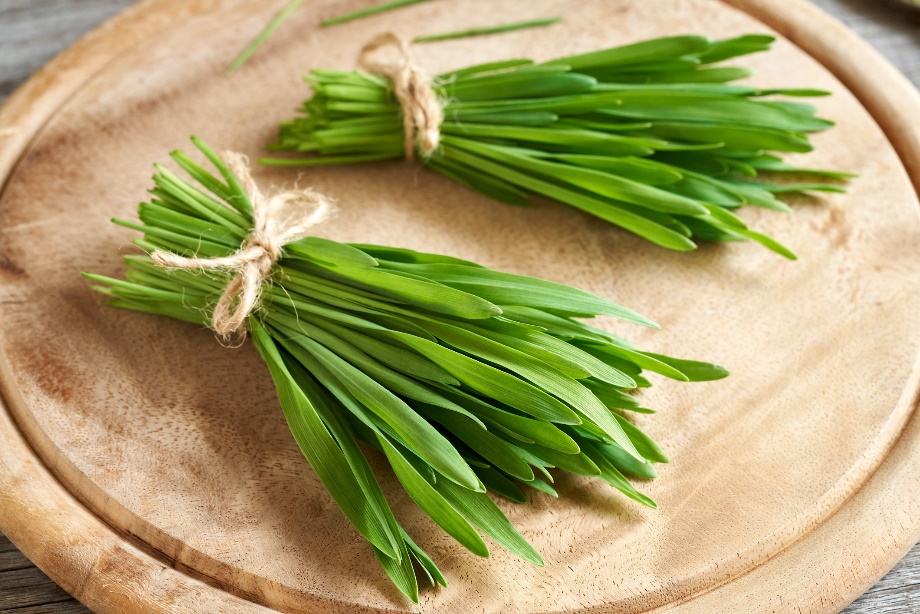 Colheita de rebentos verdes de cevada (jovens) Fonte: O que é que a cevada tem? Getty Images Colheita de rebentos verdes de cevada (jovens)
