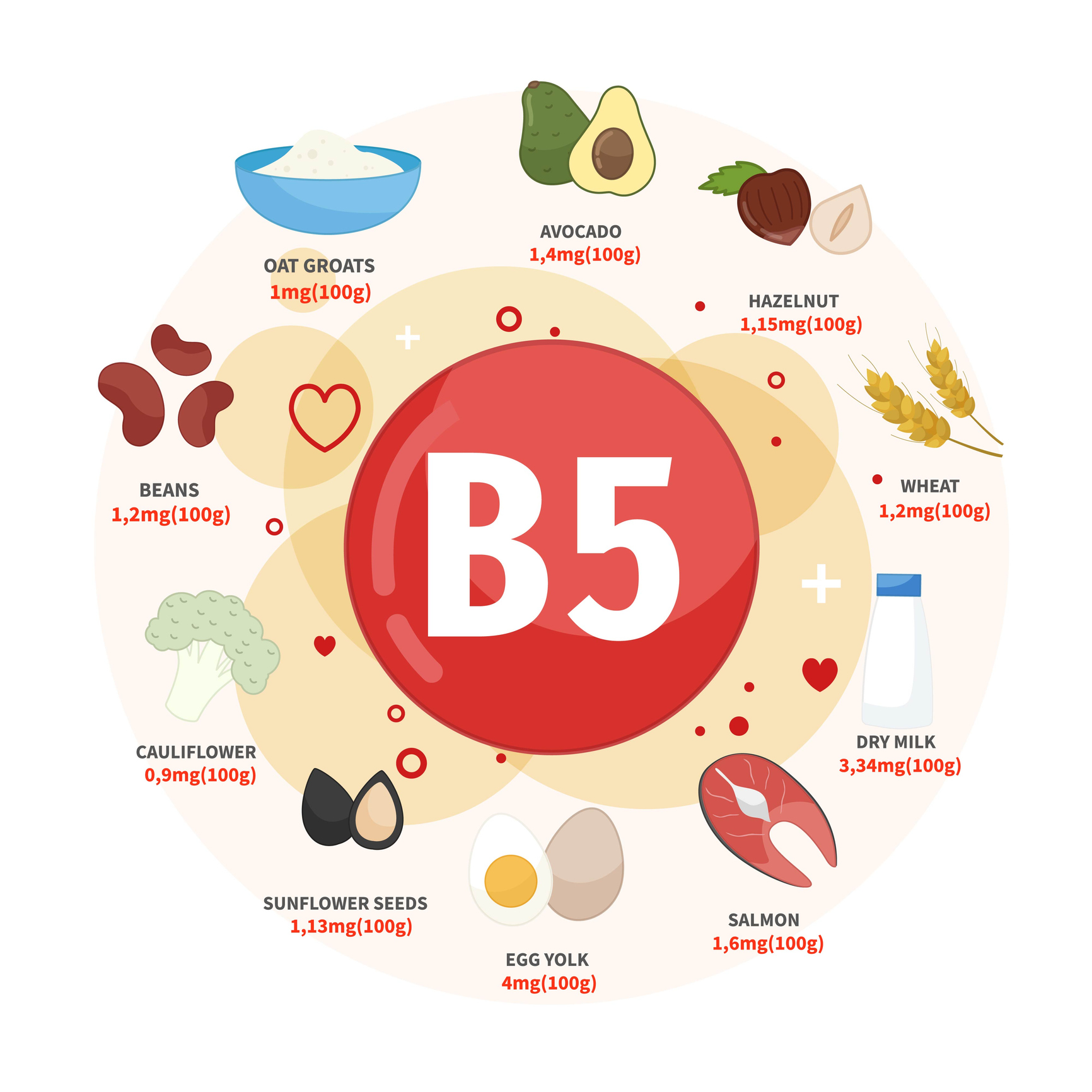 As melhores fontes de vitamina B5 incluem abacate, avelãs, trigo, leite, salmão, ovos, sementes de girassol, couve-flor, feijão, aveia: Getty Images As melhores fontes de vitamina B5 são o abacate, as avelãs, o trigo, o leite, o salmão, os ovos, as sementes de girassol, a couve-flor, o feijão e as papas de aveia.