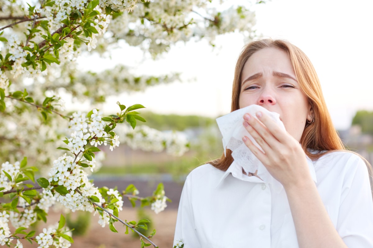 As alergias que provocam espirros frequentes e corrimento nasal podem causar hemorragias nasais. Fonte da fotografia Getty Images As alergias que provocam espirros frequentes e corrimento nasal podem causar hemorragias nasais