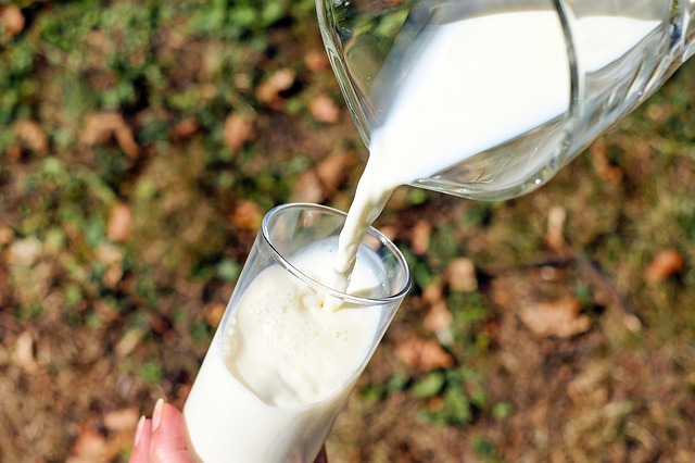 Muitas vezes por detrás dos sons da intolerância ao leite - a lactose. Fonte: Pixabay Alergia ao leite