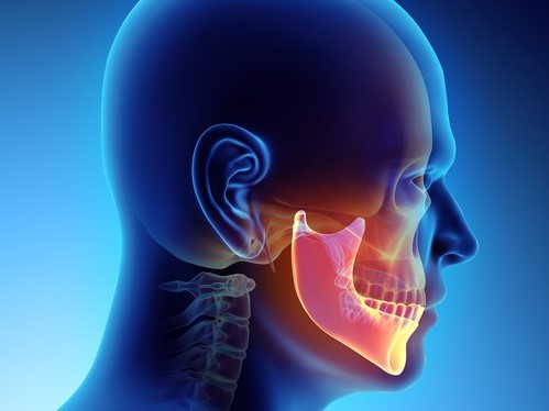 Cabeça e vista da articulação temporomandibular