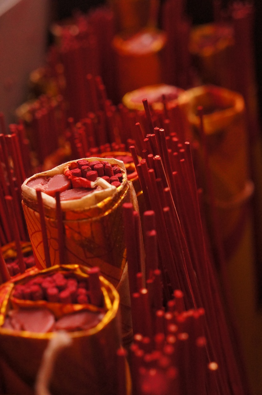 Modelo de fibra muscular, secção transversal