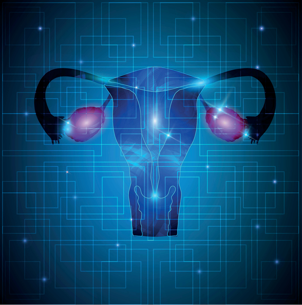 Sistema reprodutor feminino: ovários, trompas de Falópio, útero, colo do útero e vagina: Getty Images Representação do sistema reprodutor feminino: ovários, trompas de Falópio, útero, colo do útero, vagina