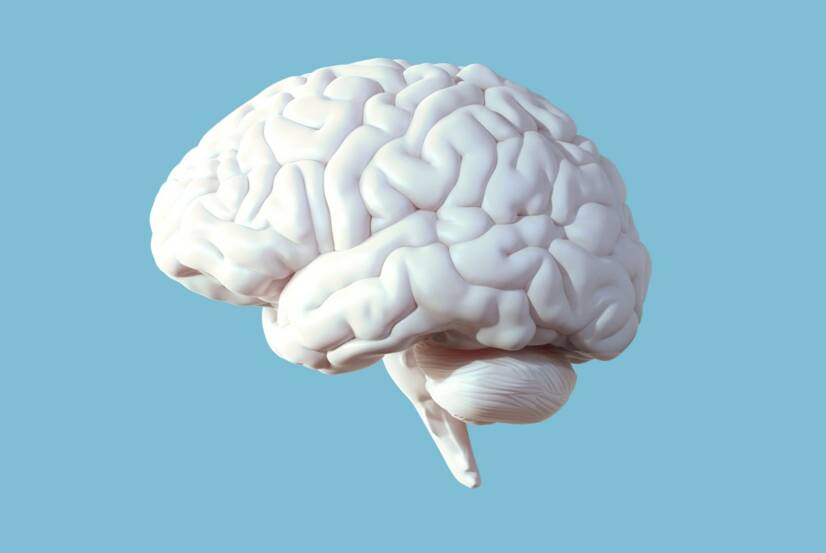 Abcesso cerebral: o que é e como se manifesta? Porque é que ocorre uma infeção cerebral?