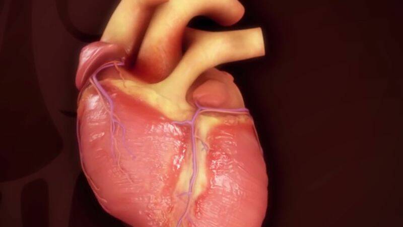 Tetralogia de Fallot: O que é e como se manifesta esta malformação congénita?
