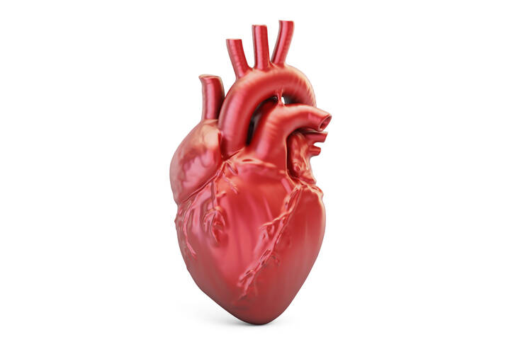Cardiomiopatia: O que é, sintomas, causas na infância e na idade adulta?