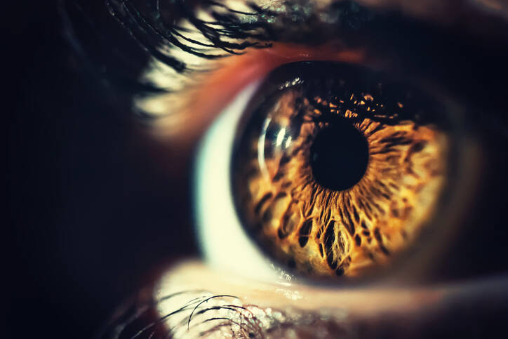 Doenças da retina e do vítreo: quais são as doenças mais comuns que conhecemos?