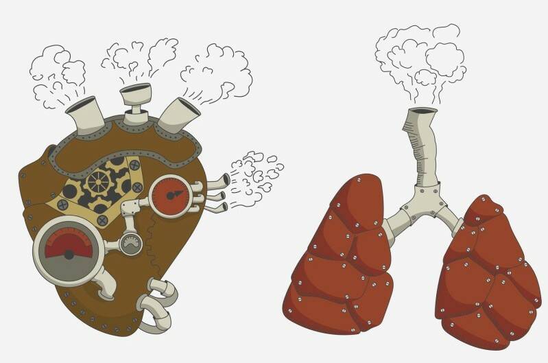 Hipertensão pulmonar: o que é e porque surge + Sintomas e tratamento