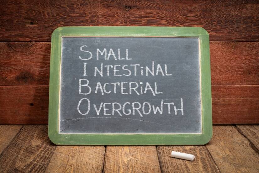 SIBO: O que é a síndrome do supercrescimento intestinal bacteriano? Sintomas...