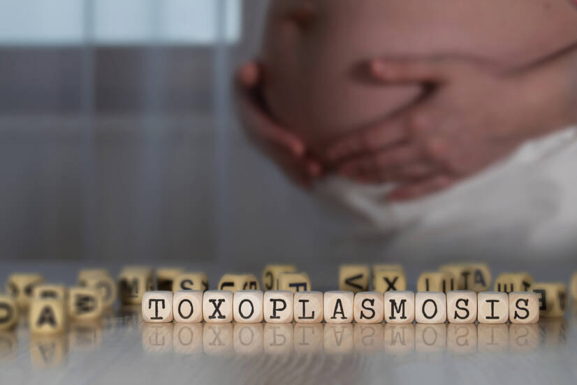 Toxoplasmose: O que é, sintomas e propagação? Quais são os sintomas e como afecta a gravidez?