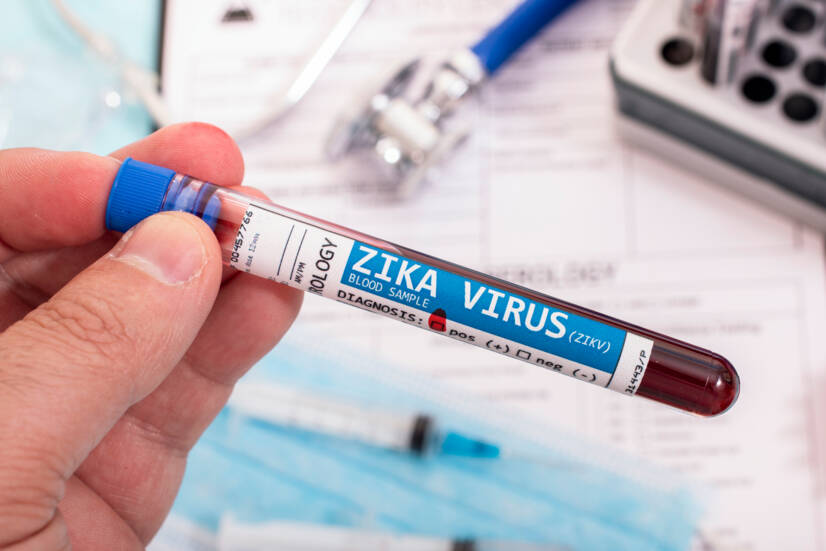 Vírus Zika: o que é, como se transmite e quais são os sintomas?
