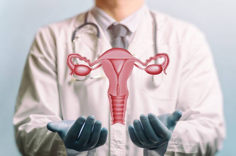 Inflamação do útero: o que a causa e como pode afetar a fertilidade da mulher?