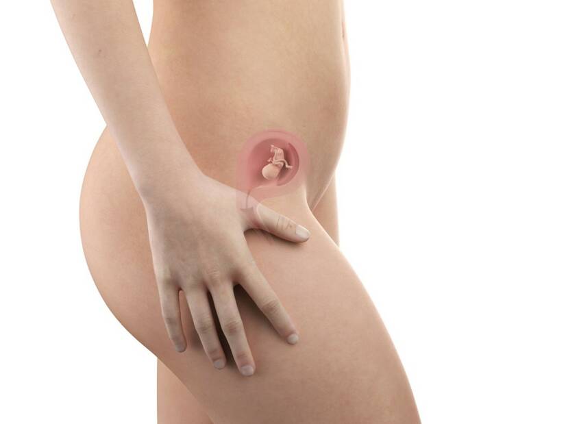 Semana 11 da gravidez: já é possível distinguir o sexo do bebé?