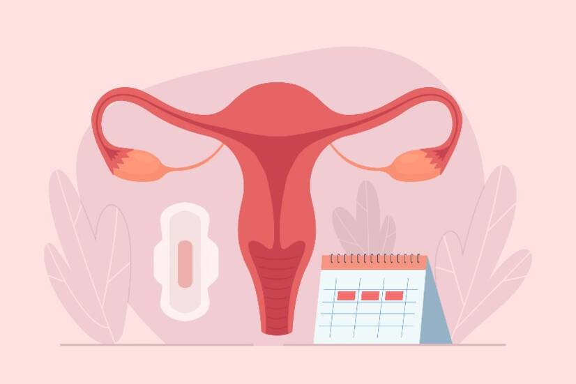 Como funciona o ciclo menstrual? Duração e fases do ciclo + sintomas