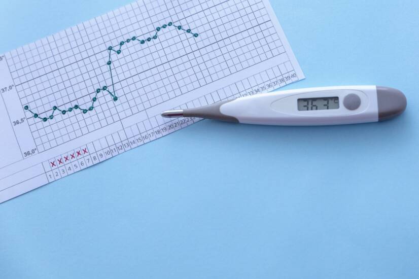 Temperatura basal: para que serve e como medi-la corretamente? Quando desce e quando sobe?