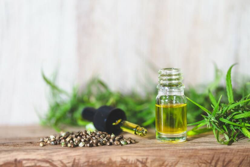 CBD - Cannabidiol: O que é e quais são os seus efeitos? É seguro utilizá-lo?