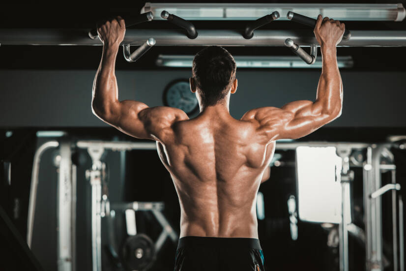 Exercícios para as costas: como fortalecer corretamente os músculos das costas?