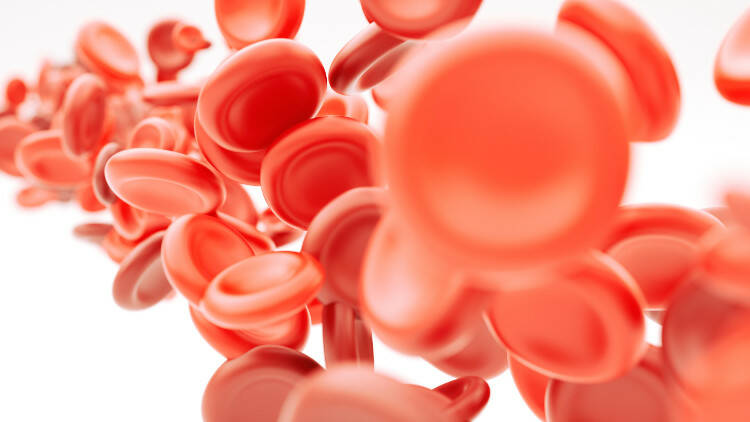 Sangue na urina - não é de esperar que seja um sintoma destas doenças