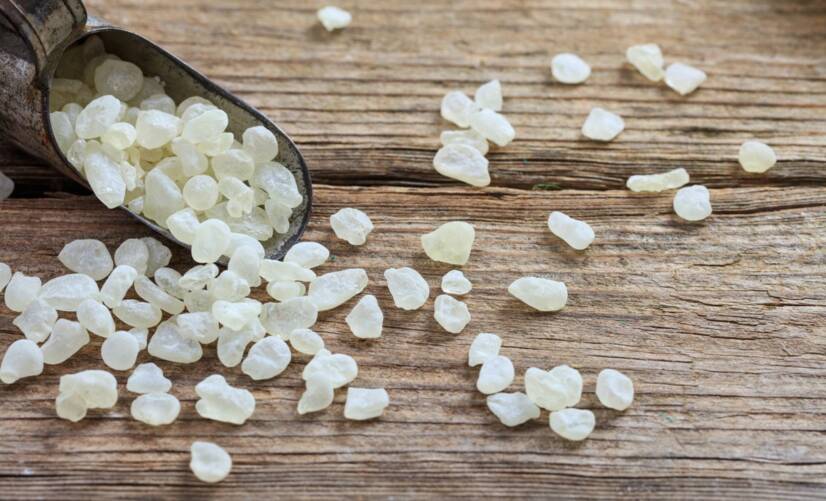 Masticha: O poder da natureza escondido numa resina que já era conhecida na antiguidade?