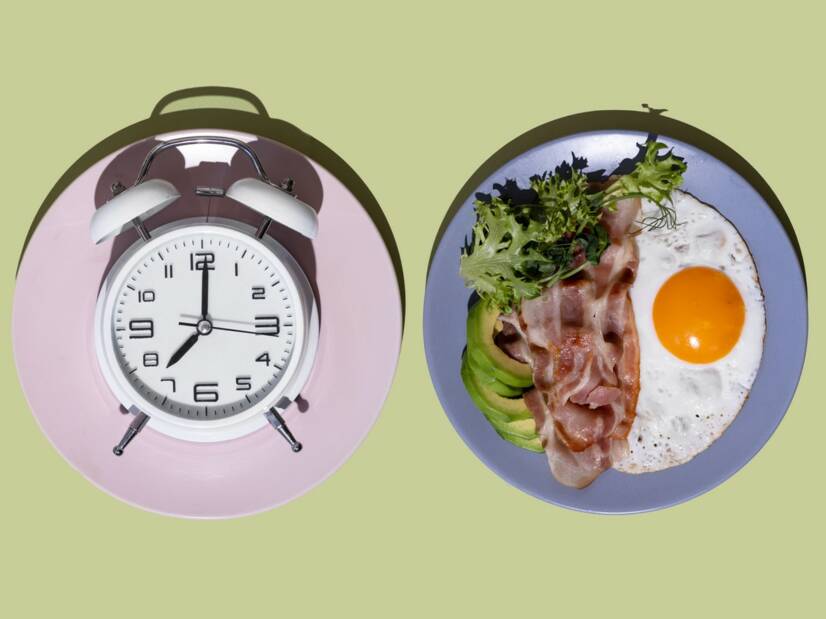 Metabolismo: o que é, quais são as suas funções e como o apoiar?