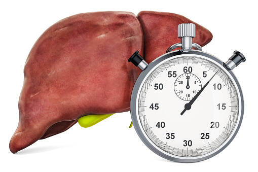 Não perca tempo, proteja o seu fígado! Como cuidar do seu fígado?