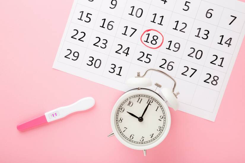 Ovulação, cálculo dos dias férteis e inférteis. Como planear a gravidez?