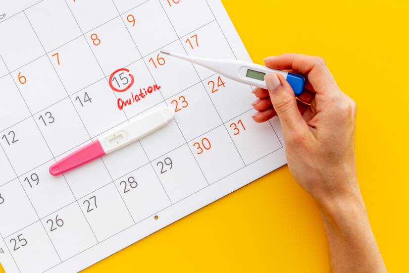 Ou: Como é que sei que estou a ovular?